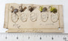 Winchester Or Simmons Lot Of Flies On Cards