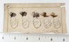 Winchester Or Simmons Lot Of Flies On Cards