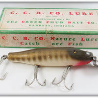 Vintage Creek Chub Pikie Scale Striper Pikie Lure In Box