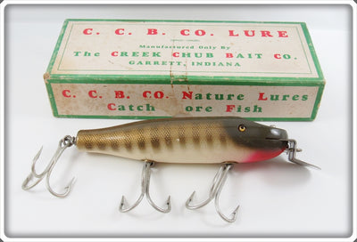 Vintage Creek Chub Pikie Scale Striper Pikie Lure In Box