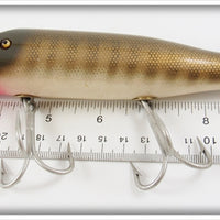 Creek Chub Pikie Scale Striper Pikie In Box