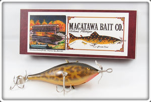 Macatawa Bait Co Paddle Wheel Minnow Lure In Box