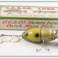 Vintage Creek Chub Green Yellow Beetle Lure In Box 3851