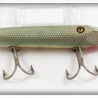 Creek Chub Green Gar Scale Gar Minnow 2920