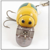 Creek Chub Yellow Beetle 3850