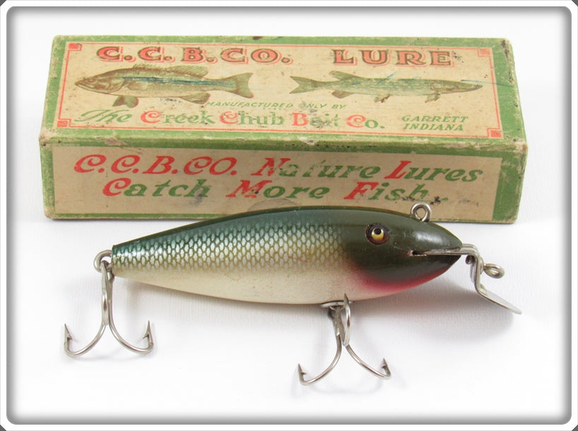 Vintage Creek Chub Natural Chub Scale Wiggler Lure In Box 100