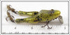 Paw Paw Green Splatter Junior Wotta Frog