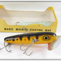 Vintage Arbogast Yellow Coachdog Wood Musky Jitterbug In 716 Box