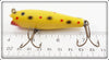 Creek Chub Yellow Spotted Midget Darter In Box 8014