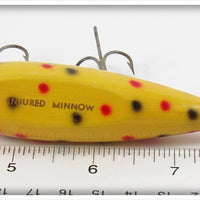 Creek Chub Yellow Spotted Injured Minnow 1514