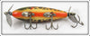 South Bend Brown Scale Coachdog Nip I Diddee