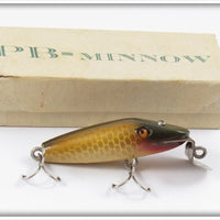 Au Pêcheur Breton Golden Shiner PB Minnow In Box - Possibly Creek Chub Made