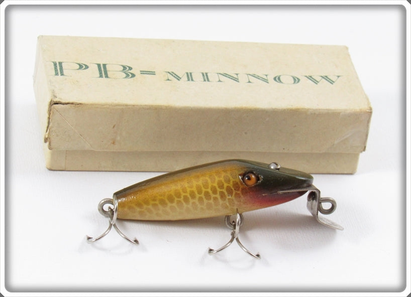Au Pêcheur Breton Golden Shiner PB Minnow In Box - Possibly Creek Chub Made