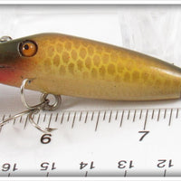 Au Pêcheur Breton Golden Shiner PB Minnow In Box - Possibly Creek Chub Made