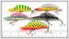 Unknown Crankbait Lot Of Six