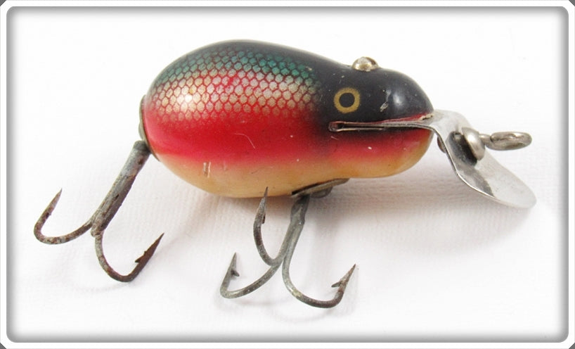 Vintage Creek Chub Dace Tiny Tim 6405 Special Order Lure