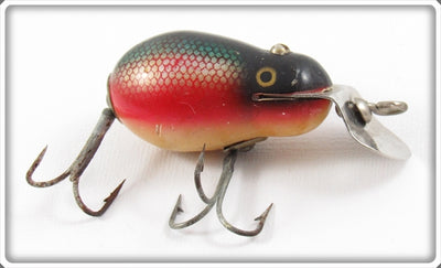 Vintage Creek Chub Dace Tiny Tim 6405 Special Order Lure
