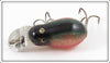 Creek Chub Dace Tiny Tim 6405 Special