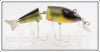 Creek Chub Collector's Limited Edition Perch Wigglefish In Box