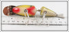 Creek Chub Collector's Limited Edition Perch Wigglefish In Box