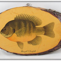 Vintage James Heddon's Sons Bluegill Sunfish Plaque
