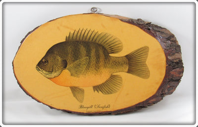 Vintage James Heddon's Sons Bluegill Sunfish Plaque