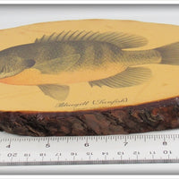 *** USA ONLY *** James Heddon's Sons Bluegill Sunfish Plaque