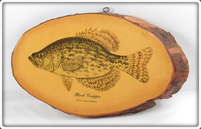 Vintage James Heddon's Sons Black Crappie Plaque