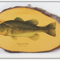 Vintage James Heddon's Sons Largemouth Bass Plaque