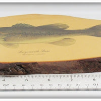 *** USA ONLY *** James Heddon's Sons Largemouth Bass Plaque