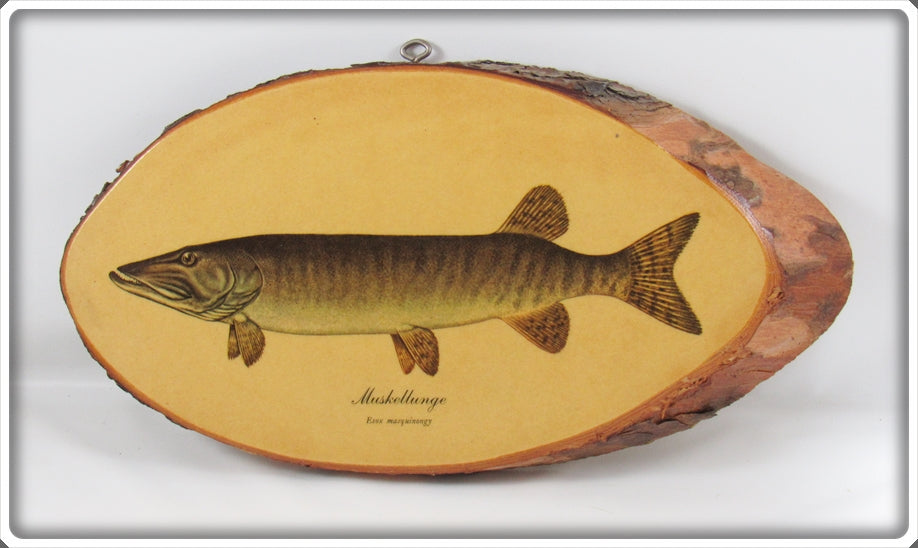 Vintage James Heddon's Sons Muskellunge Plaque
