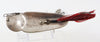 Vintage Pre-Heddon Abbey & Imbrie Nickel Plate King Stanley Lure