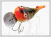 Heddon Perch Hi Tail 305L