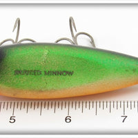 Creek Chub Fireplug Injured Minnow 1532