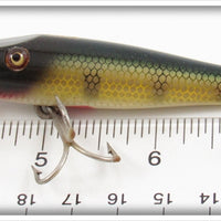 Creek Chub Perch Midget Pikie In Box 2201