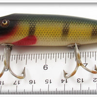 Creek Chub Perch Pikie In Box 701