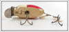 Creek Chub White & Red Beetle 3852