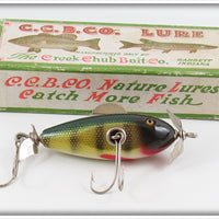 Vintage Creek Chub Perch Baby Injured Minnow Lure In Box 1601