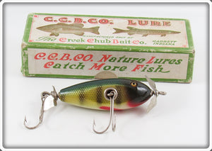 Vintage Creek Chub Perch Baby Injured Minnow Lure In Box 1601