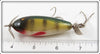 Creek Chub Perch Baby Injured Minnow In Box 1601