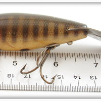 Creek Chub Pikie Scale 7000