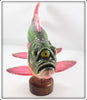 Melosh One Of A Kind Three Eyed Alien Fish Decoy On Stand
