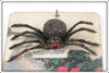 Itchy Novelty Co Black Americana Whoopee Spider & Ant Lures On Cards