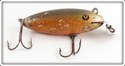 Vintage Creek Chub Early Golden Shiner Baby Wiggler Lure 