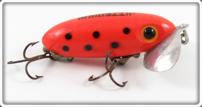 Vintage Arbogast Orange Black Spots 3/8 Oz Jitterbug Lure