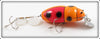 Plastic Image Orange Scarab In Box