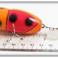Plastic Image Orange Scarab In Box