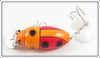 Plastic Image Orange Scarab In Box