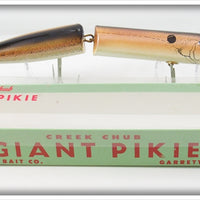 Vintage Creek Chub Brown Trout Giant Jointed Pikie Lure In Box 800 WBT