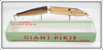 Vintage Creek Chub Brown Trout Giant Jointed Pikie Lure In Box 800 WBT